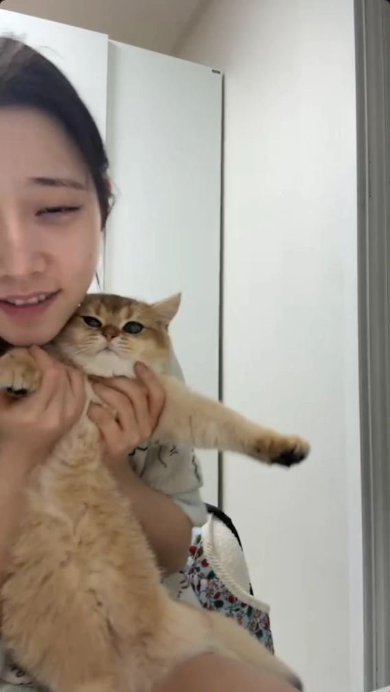 따끈한 숲 bj 짬지 노출